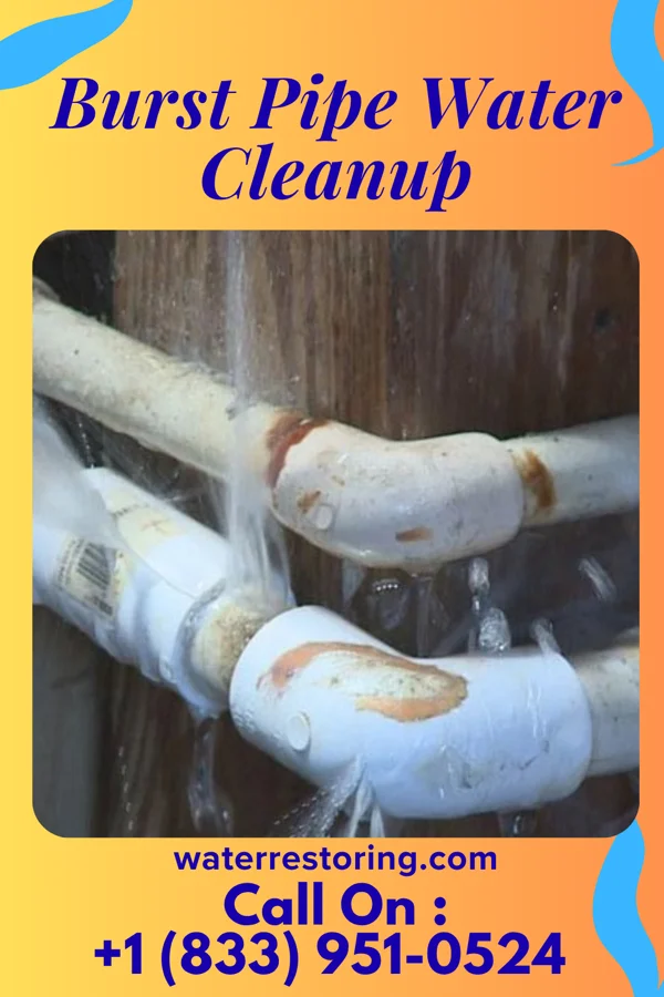 Burst Pipe Water Cleanup in Ramblewood, NJ