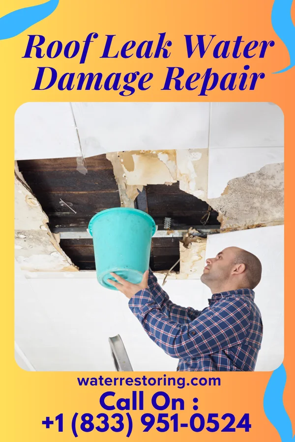 Roof Leak Water Damage Repair in Ramblewood, NJ