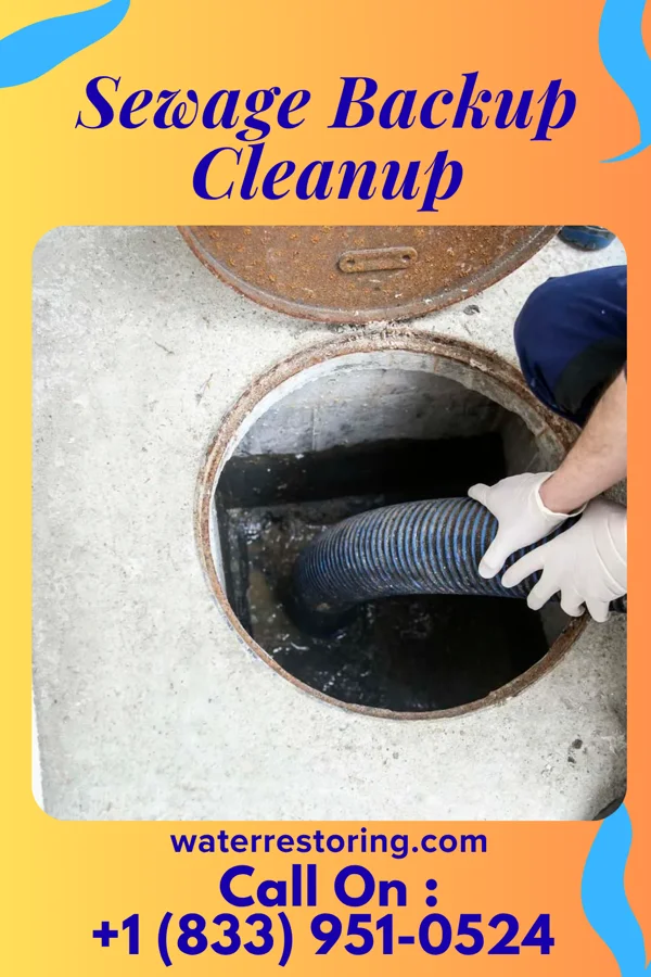 Sewage Backup Cleanup in Ramblewood, NJ