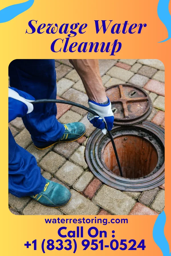 Sewage Water Cleanup in Ramblewood, NJ
