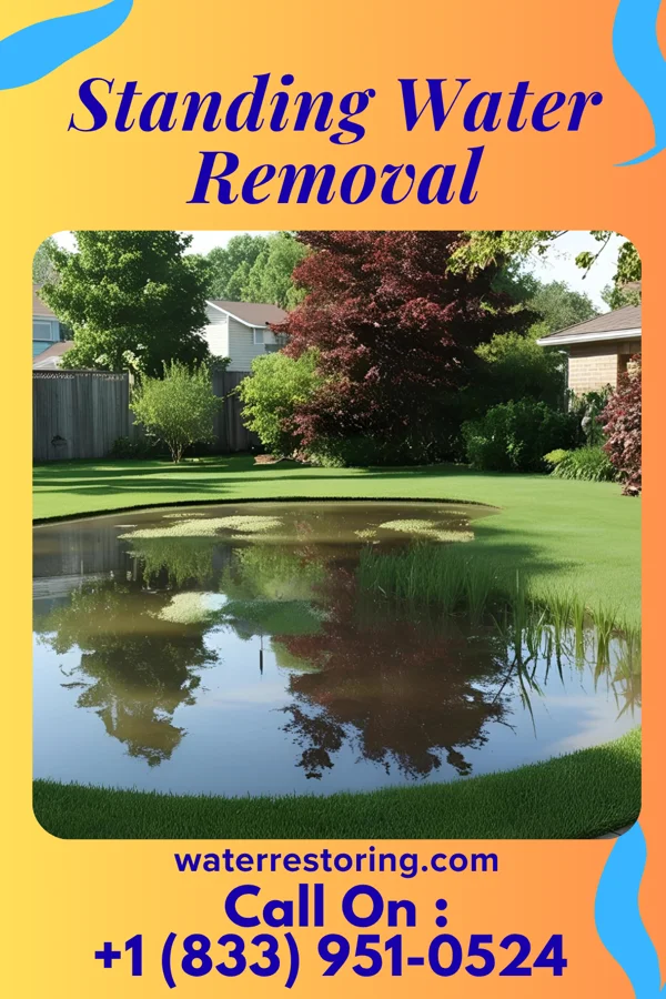Standing Water Removal in Ramblewood, NJ
